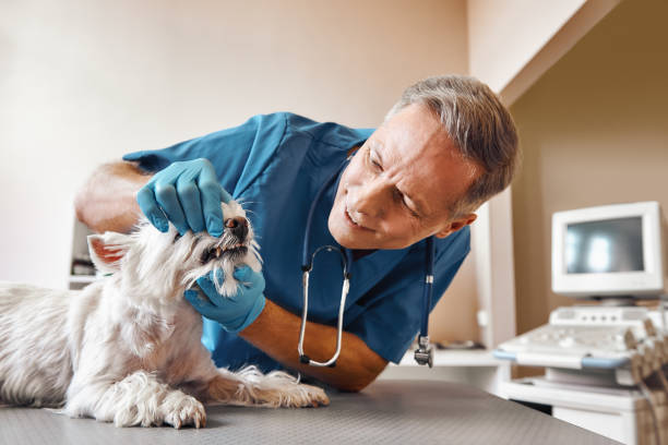 Best Emergency Care for Gum Disease in Quitman, MS