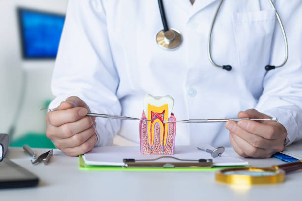 Best Emergency Dental Clinic in MS